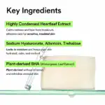 Abib Heartleaf Spot Pad Calming Touch - Image 6