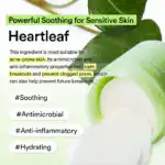 Abib Heartleaf Spot Pad Calming Touch - Image 3