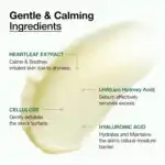 ANUA Heartleaf LHA Moisture Peeling Gel - Image 3