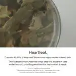 Abib Heartleaf Essence Calming Pump - Image 3