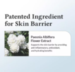Dr. Althea Day & Night Radiance & Barrier Trio: Vitamin C Boosting Serum + 0.15% Retinol Cream+ 147 Barrier Cream | Korean Skin Cycling Anti-Aging Bundle - Image 7